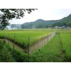  универсальный сеть * б/у сеть * водоросли сеть * грамм скол предотвращение * шт. способ сеть * животное исключая .5 шт. комплект цена!