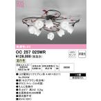 OC257025WRオーデリックL...