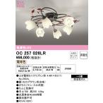 OC257026LRオーデリックL...