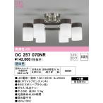 OC257070NRオーデリックL...