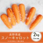 включая доставку snow Carrot (2kg коробка )*4 месяц последняя декада ~5 месяц сверху . отправка предположительно 