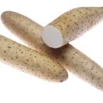 JA Matsumoto Highland * китайский ямс ( Yamagata . вместе выбор место ) примерно 5kg[2025 подарок по случаю конца года ]*11 месяц последняя декада из последовательный отправка ( доставка указанный день не возможно )