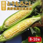 【予約販売開始】\8月中旬出荷予定/とうもろこし8〜10本セット (沖縄県・離島地域配送不可) 甘い 朝採り 長野県産 グラビス 御中元 ギフト