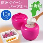 【中高冷菓】 信州クイーンパープ�