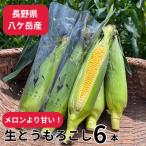 . штук пик сырой кукуруза 6 шт. входит . дыня .... сахар раз примерно 20 раз!! включая доставку Nagano префектура . штук пик кукуруза - malano-en( Okinawa * рассылка не возможно )