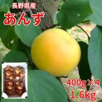 【信州松代】生あんず『信州大実』400g×4  1.6kg ｜レシピ・食べ方同梱 送料込 【６月下旬以降出荷予定】御中元 お中元  長野 あんず 杏　(沖縄配送不可）