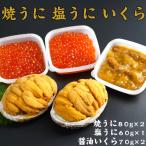 [ бесплатная доставка ]...... соль .. Iwate котел камень .. магазин три суша прямая поставка ...80g×2 соевый соус ...70g×2 соль ..60g×1.. подарок 