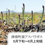 新潟県産(津南町)グリーンアスパラ1kg 「5月下旬頃出荷開始予定」 ZO-321