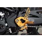 ＢａｂｙＦａｃｅ　ＳＴＥＰ　ＫＩＴ　ＨＯＮＤＡ　ＣＢ２５０Ｒ　１８　品番 002-H036BK/002-H036GD/002-H036SV