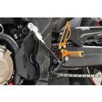 ＢａｂｙＦａｃｅ　ＳＴＥＰ　ＫＩＴ　ＨＯＮＤＡ　ＣＢＲ６５０Ｒ　１９　ノーマルシフト　シフタースイッチ対応　品番 002-H038BK/002-H038GD/002-H038SV