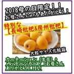 母の日限定 送料無料 房州びわ 長崎枇杷 650g 化粧箱 2L 3L 大粒サイズ 千葉県房州 枇杷 びわ ギフト 父の日 母の日 御中元