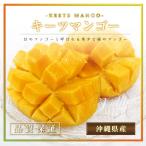 沖縄県産 キーツマンゴー 2玉化粧箱 幻のマンゴー 最高級品 残暑見舞い ご贈答用に最適です ギフト 沖縄マンゴー