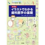  no. 4 версия иллюстрации . понимать зуб . медицина. основа 