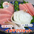  голубой тунец тунец средней жирности ..i кассета длина . город Yamaguchi префектура вакуум отделка settled внезапный скорость рефрижератор тунец sashimi морепродукты .. набор 