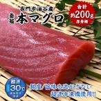 【やまぐちECエール便】本マグロ 赤身 200g 鮪 マグロ マグロ刺身 柵 山口県 長門市産 養殖 とろける 道の駅センザキッチン