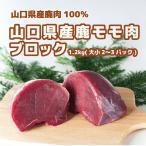  ограниченное количество 10%OFF[ ограниченное количество ] местного производства олень Momo мясо блок 1.2kg постное филе иметь целью ...... здоровый олень Momo мясо постное филе мясо постное филе иметь целью . низкий жир . высота ....