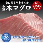 【やまぐちECエール便】山口県産 長門とろける本マグロ 大トロ 柵 約150g 刺身用 寿司 丼ぶり 絶品 海鮮丼 ご褒美 贈り物にも 熨斗対応 贅沢おうちごはん 冷凍便