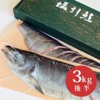 新潟 村上 名産 塩引き鮭 塩引鮭 切身姿造り 漁獲時3kg後半の鮭を使用( 鮭 シャケ サケ 塩鮭 切り身 ギフト グルメ )
