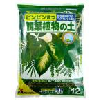 花ごころ 観葉植物の土 12L