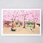  весна .... открытка Sakura ...(c).. считая клей PPA-261h почтовая доставка .. кошка кошка открытка с видом 