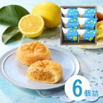 なごみの米屋 夏パイレモン 6個詰