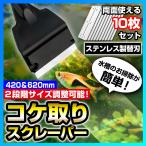 コケ取り スクレーパー 水槽 コケ対策 ガラス面 掃除 クリーナー 水草 苔 藻 42cm 62cm 替刃10枚