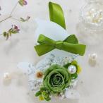  заказ aroma воск саше белый кошка зеленый роза зеленый лента можно выбрать аромат 