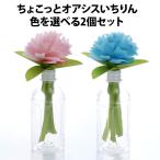 ちょこっとオアシスいちりん 2個セット 自然気化式小型加湿器 ミクニ メール便無料(DM)