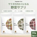 予約 2個セット 飲む粉野菜 サプリ 9つの野菜 ケール 人参葉 ごぼう 赤紫蘇 紫人参 紅大根 90粒入 農薬不使用 サプリメント 国産 メール便無料【DM】海外×