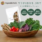 飲む粉野菜 サプリ 90粒入 6つの野菜