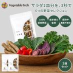 2個セット 飲む粉野菜 サプリ 90粒入