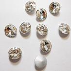 ��饬�饹�ե��󥷡����ȡ��󡡥ӥ��塼�饤�󥹥ȡ���16�����ꥹ���롡�ݥݥ���ȡ�8��8mm  1γ