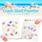  гель ногти авария ракушка 12 -цветный набор 