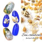 Yahoo! Yahoo!ショッピング(ヤフー ショッピング)全品半額クーポン配布中（11/25〜） ネイルパーツ 天然貝 本物ヒトデ 天然石 ネイルジュエリー スターフィッシュ マリンパーツ ネイルアートメタル ヒト