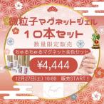 【数量限定！お正月限定大特価！】１０色セット　微粒子マグネットジェル　HappyBag2026 ネイル福袋　ネイル　福袋　ハッピーバッグ　Happybag