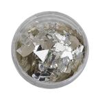 Charlon シャルロン ミラーホロ シル�