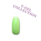 ジェルネイル カラージェル T−GEL ティージェル COLLECTION カラージェル D079 ミルキーネオンライム 4ml