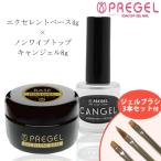 ジェルネイル セット プリジェル PREGEL ノンワイプクリア トップ キャンジェル8g エクセレントベース4g ジェルブラシ 3点セット キット