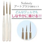 【メール便OK】 ネイルブラシ ネイルアート ブラシ3本セット プチプラ NAIL REPUBLIC(ネイル リパブリック)