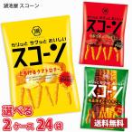 【選べる2ケース】湖池屋 スコーン 