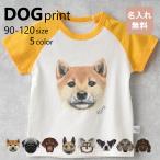 子供Tシャツ 半袖 無地 犬柄 5色ト 90/100/110/120 キッズ 女の子 男の子 おすすめ プレゼント 1枚までメール便可 新生活