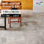  подушка пол домашнее животное соответствует земля пара камень глаз style восток li[ заказ. 1m и больше 10cm единица измерения ]eijido бетон плитка CF3738