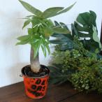  жестяная пластина pot ведро orange Vintage retro цветок pot горшок цветочный горшок 