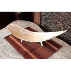  дисплей tray кокос leaf ... лист tray белый × Gold примерно 55cm Nankoku resort Asian интерьер шероховатость смешанные товары 