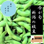 新潟県産 枝豆  朝採り 直送 １kg  送料無料 クール便