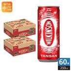 アサヒ ウィルキンソン タンサン 250