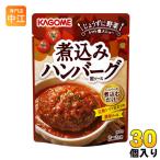 ¥«¥´¥á ¼Ñ¹þ¤ß¥Ï¥ó¥Ð¡¼¥°ÍÑ¥½¡¼¥¹ 250g ¥Ñ¥¦¥Á 30¸ÄÆþ