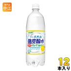 サンガリア 伊賀の天然水炭酸水グレープフルーツ １L ペットボトル 12本入 〔炭酸水〕