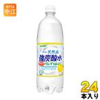 サンガリア 伊賀の天然水 強炭酸水 グレープフルーツ １L ペット 24本 (12本入×2 まとめ買い) 〔炭酸水〕