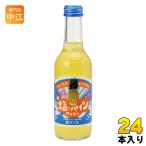 ショッピングぬちまーす 友桝飲料 塩&パインサイダー 245ml 瓶 24本入 地サイダー 炭酸ジュース タンサン